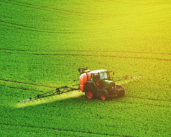 Tractor in the field